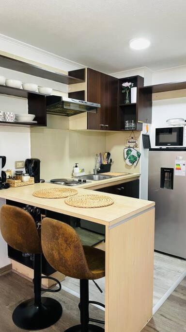 Departamento En Centro Apartamento Santiago
