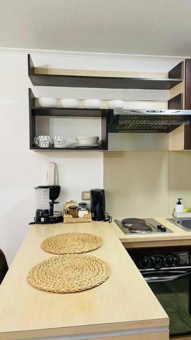 Apartamento Departamento En Centro Santiago