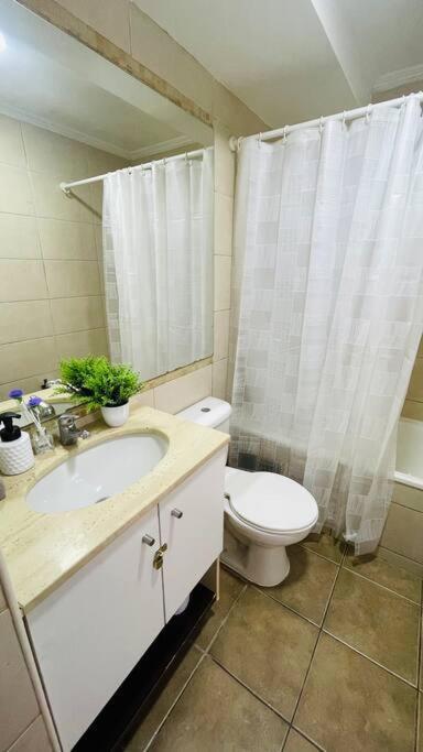 Departamento En Centro Apartamento